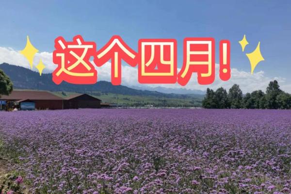 2021年4月适宜动土的日子是