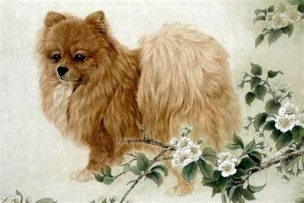 1958属狗的女命今年运势如何 1958年属狗女在2021年的运势 1958属狗的女命今年运势如何 1958年属狗女在2021年的运势