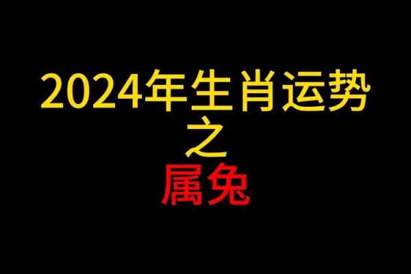 属兔人今天运势和财运_属兔人今天运势和财运20241月28号出生
