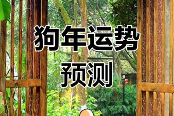 1970年属狗适合戴什么_1970年属狗人适合佩戴什么饰品运势提升指南 1970年属狗适合戴什么_1970年属狗人适合佩戴什么饰品运势提升指南