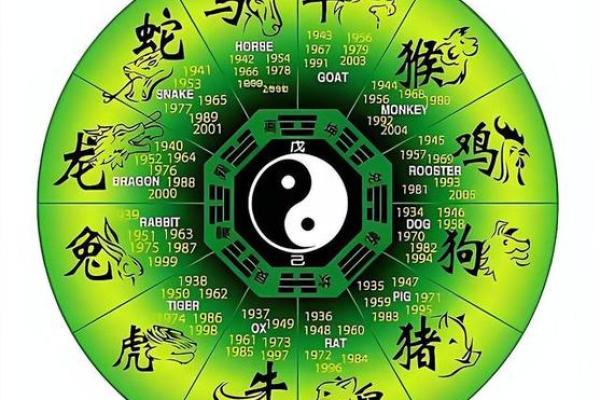 修炼成精打一正确生肖(修炼成精打一数字)