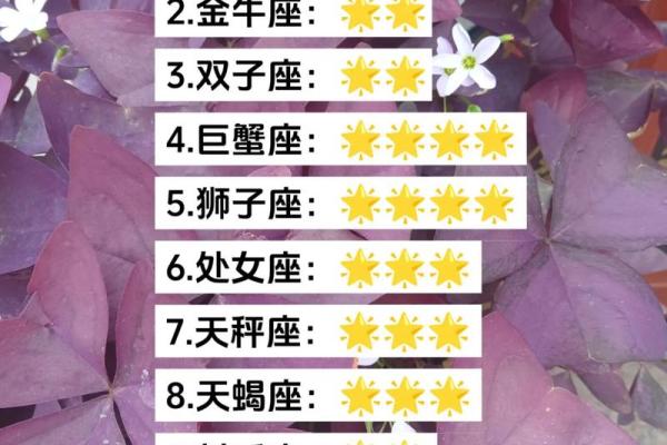 爱星座每日运势查询_2023爱星座每日运势查询指南精准预测今日好运指数