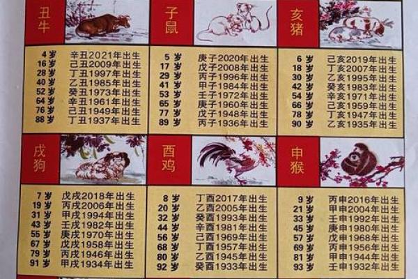 鸡属相年份对照表 2024年鸡属相年份对照表全面解析生肖鸡的运势与特点 鸡属相年份对照表 2024年鸡属相年份对照表全面解析生肖鸡的运势与特点