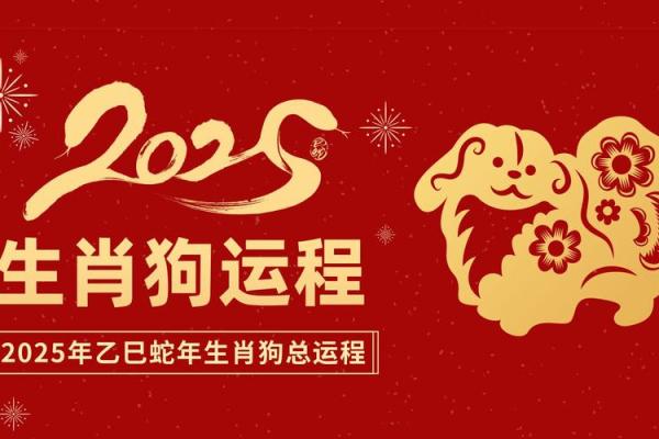 1982属狗的2025年运势_82年属狗人43岁大劫