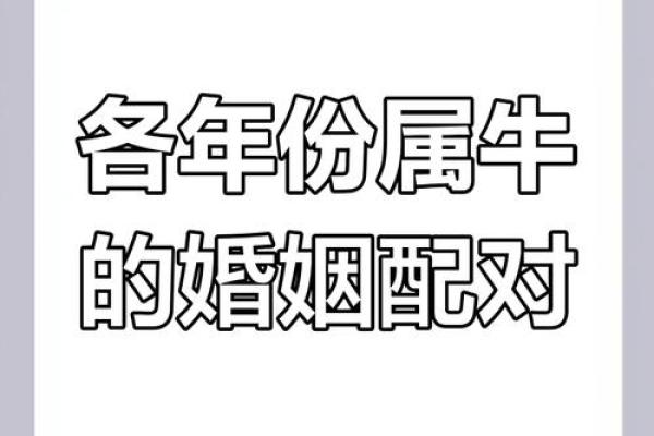 97年属牛人的姻缘_97年属牛人的姻缘预测 97年属牛人的姻缘_97年属牛人的姻缘预测
