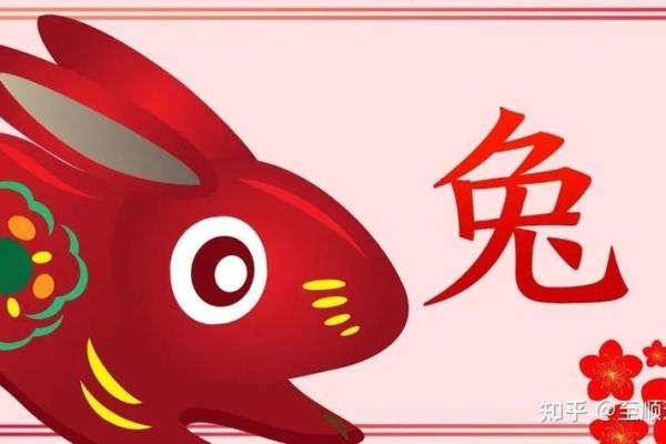 75属兔的今年每月运势怎么样_2023年75属兔每月运势详解全年运程大揭秘 75属兔的今年每月运势怎么样_2023年75属兔每月运势详解全年运程大揭秘