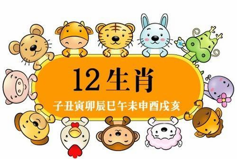 91男和96鼠女姻缘 91年男和96年女鼠结婚有什么注意事项