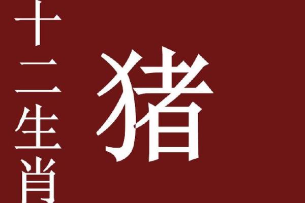 软弱无力是什么生肖(软弱无力是什么生肖正确答案) 软弱无力是什么生肖(软弱无力是什么生肖正确答案)