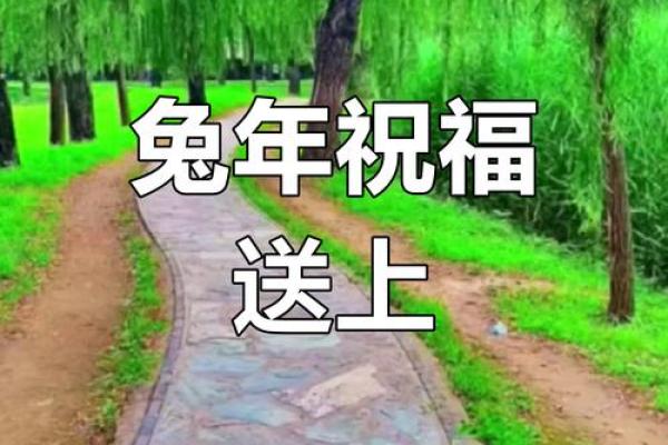 2023年兔年祝福语短句 2023年兔年祝福语短句