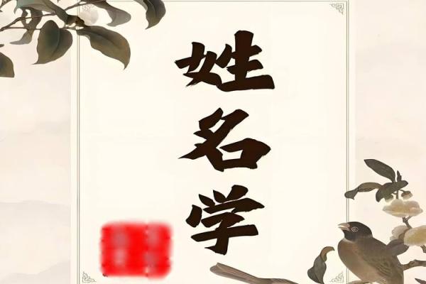 测八字取名字 测八字取名字精准命理助你起个好名字