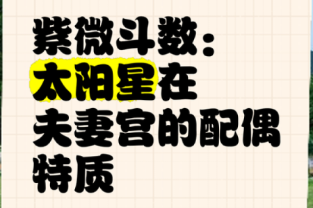 夫妻宫陀罗_夫妻宫陀罗星陷结不了婚