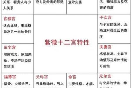 地劫在子女宫代表什么 地劫在子女宫的含义解析影响与应对策略