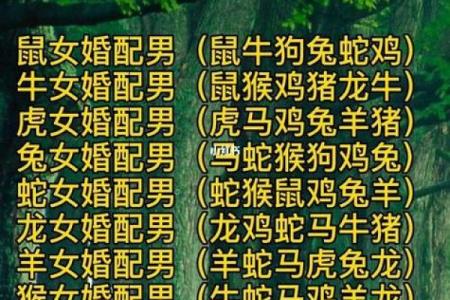 男鸡女狗属相相配吗_男鸡女狗属相相配吗揭秘生肖配对最佳组合