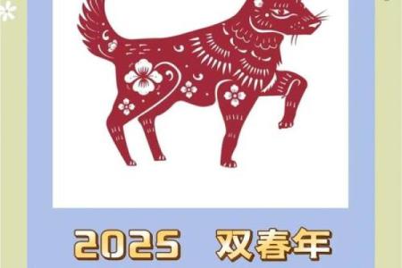 1982年属狗2025年运势详解事业财运健康全解析