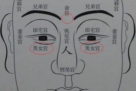 地空星在子女宫_地空星入子女宫