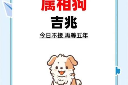 24年属狗人的全年运势_24年属狗人的全年运势及运程