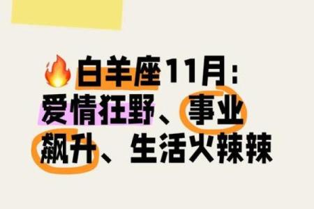 白羊座2月16日运势(白羊座2月16日运势如何)