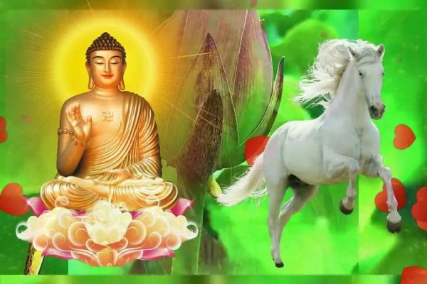 1978年属马人2015年运程详解运势解析与吉凶预测 1978年属马人2015年运程详解运势解析与吉凶预测