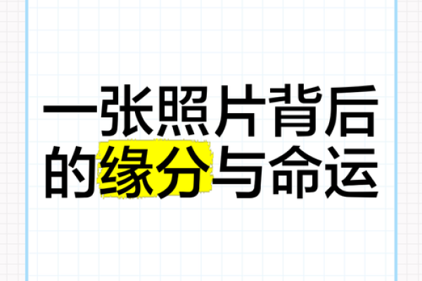 查询两个人的缘分揭秘命运交织的奥秘