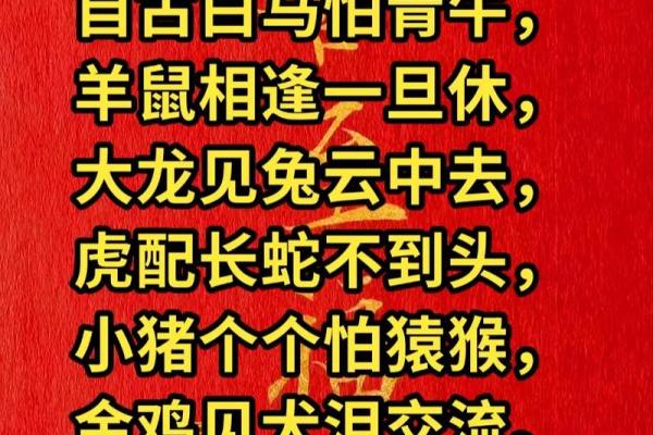 “短小精悍”打一准确生肖,短小精悍打一个生肖答案解释释义落实 “短小精悍”打一准确生肖,短小精悍打一个生肖答案解释释义落实