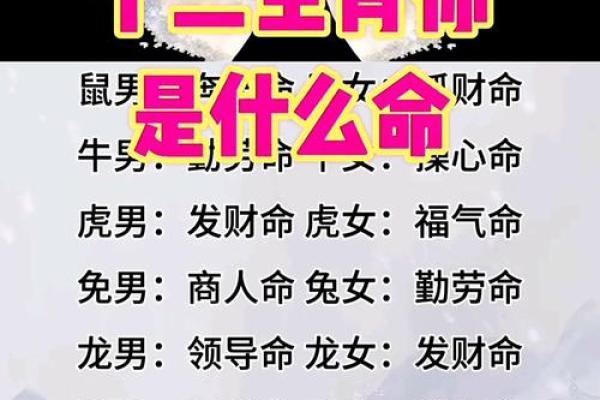 “惜财如命”打一最佳准确生肖，惜财如命打一动物生肖答案解释释义落实