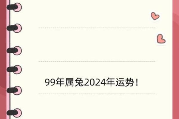 24年属兔人的全年运势_2024年属兔人全年运势详解财运事业爱情全面解析