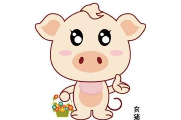 71年属猪50岁后的运气_71年属猪50岁后的运气怎么样