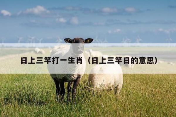 风餐露宿打一生肖 风餐露宿打一生肖