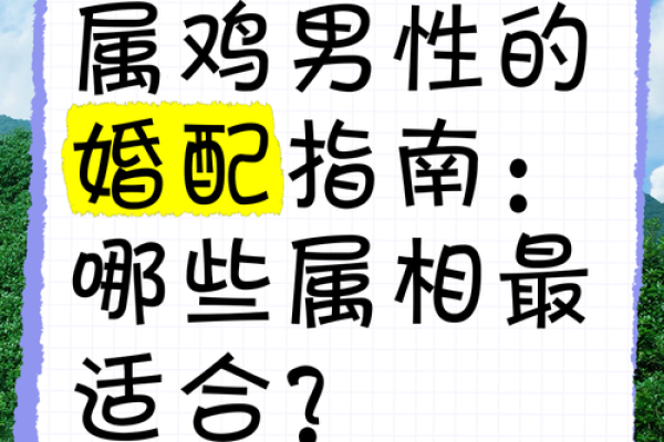 81属鸡女命中注定的丈夫_81属鸡女的注定婚姻 81属鸡女命中注定的丈夫_81属鸡女的注定婚姻