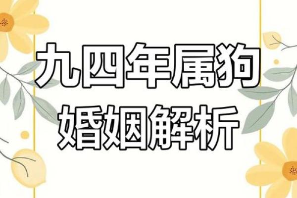 94年属狗的属相婚配表 94年属狗的属相婚配表图片