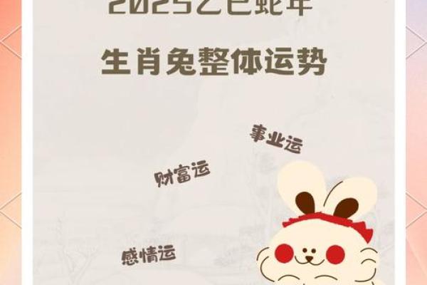 1963年属兔的2025年运势 1963年属兔2025年运势解析财运健康感情全预测 1963年属兔的2025年运势 1963年属兔2025年运势解析财运健康感情全预测