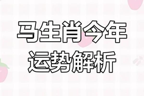 2025属马运势及运程详解_属马人2025年运势及运程每月运程