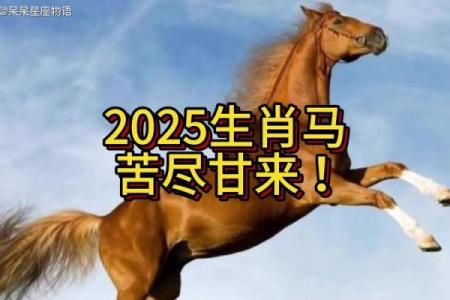 2025年属马运程 2025年属马运程怎样
