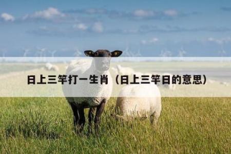 风餐露宿打一生肖