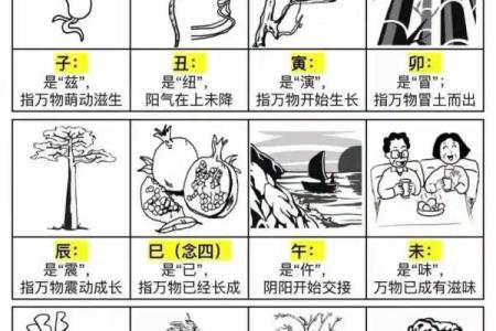 贪生怕死是什么生肖