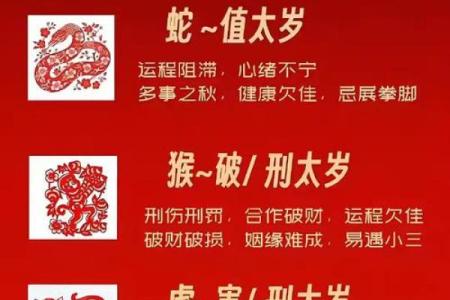 揭竿四起是什么生肖