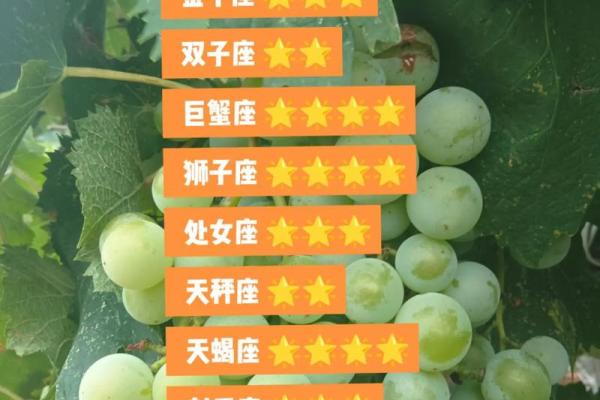 双子座星座屋今日运势_双子座星座屋今日运势揭秘今日幸运指数与运势走向