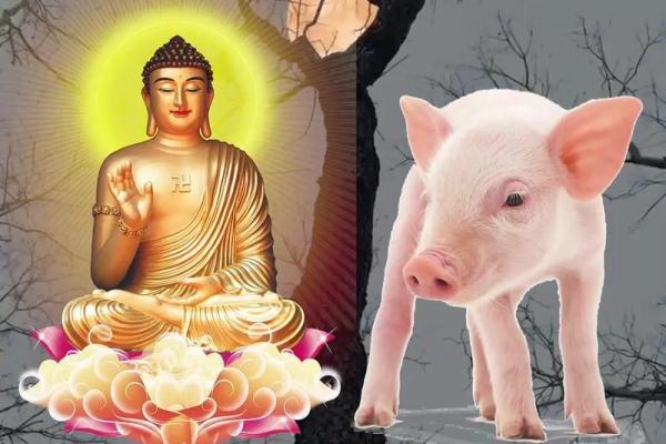 1983年属猪的婚姻和命运_1983年属猪人婚姻与命运解析幸福密码大揭秘 1983年属猪的婚姻和命运_1983年属猪人婚姻与命运解析幸福密码大揭秘