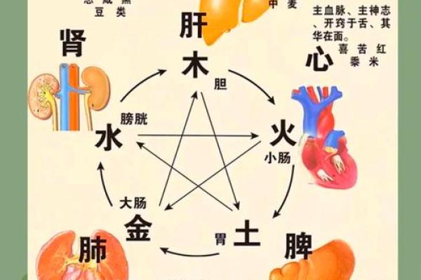 生辰八字测五行揭秘命运与五行的奥秘 生辰八字测五行揭秘命运与五行的奥秘