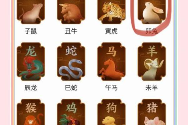 属兔跟属龙的姻缘怎么样 属兔与属龙姻缘解析生肖配对是否幸福美满 属兔跟属龙的姻缘怎么样 属兔与属龙姻缘解析生肖配对是否幸福美满