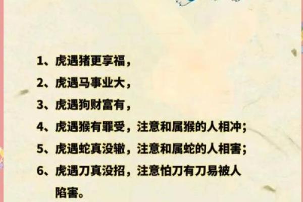 “南北通道交通忙”指什么生肖，南北通商是什么动物答案解释释义落实