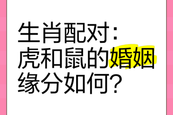 姓名缘分契合度配对_姓名缘分契合度配对揭秘名字背后的爱情密码