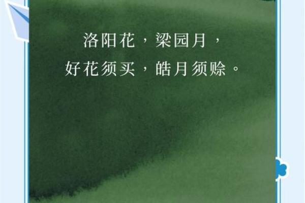 “倚此为命”打一准确生肖，倚此为命打一个最佳生肖答案解释释义落实