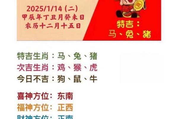 生肖猪2025年全年运势 2025年生肖猪全年运势详解财运事业爱情全面解析