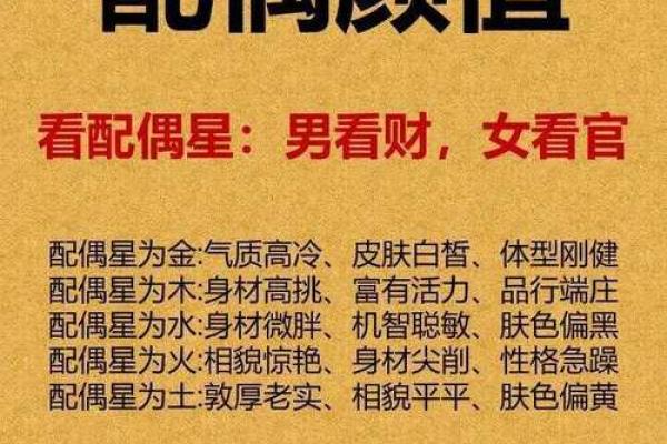 八字看配偶职业 八字看配偶职业地位 八字看配偶职业 八字看配偶职业地位