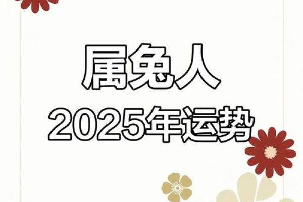 1999属兔25岁后运势解析未来运程如何 1999属兔25岁后运势解析未来运程如何