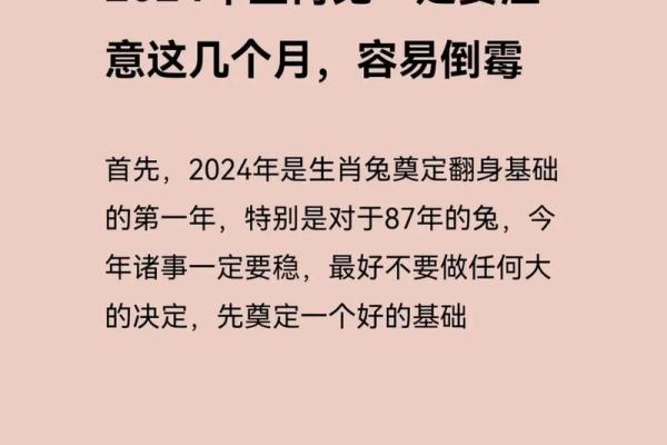 1975年属兔2025年多大生肖年龄计算全解析