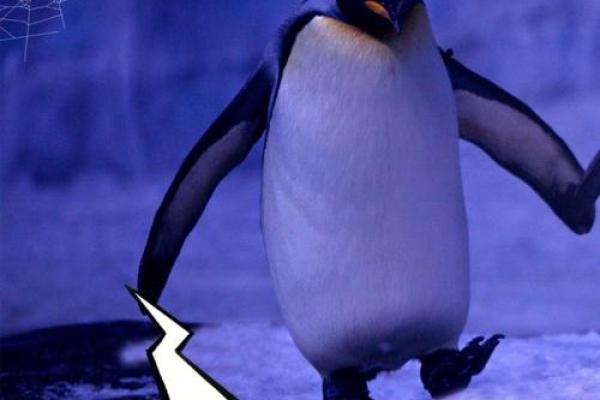 “孤魂野鬼”打一动物生肖，孤魂野鬼是指什么生肖正确答案解释释义落实