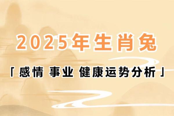 1987年男兔2025年运势详解事业财运爱情全解析