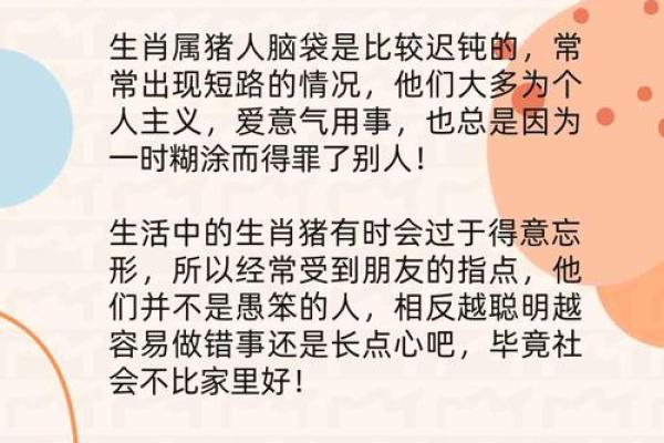 点头哈腰是什么生肖